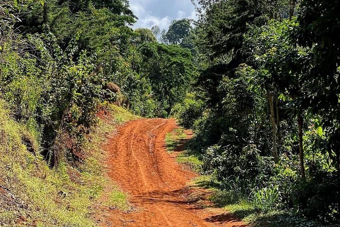 Waterfall, coffee tour & hot springs - lunch and drinks included - Who should book this day trip, and who should skip it