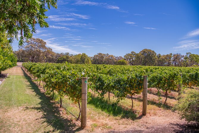 Wine, Craft Beer & Restaurant Lunch (Italian-A'la Carte). - Three winery stops in Margaret River: more choice than one-note tourism
