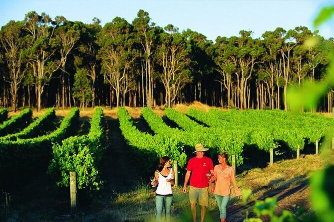 Wine, Craft Beer & Restaurant Lunch (Italian-A'la Carte). - Who should book this tour in your Margaret River trip