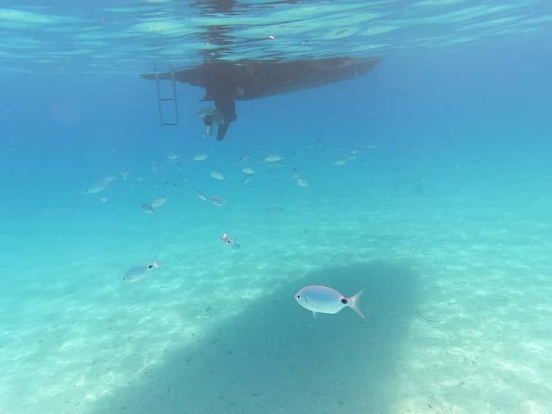 Zadar: Private SpeedBoat Tour to Islands - Drinks Included - Who should book this tour (and who should skip it)
